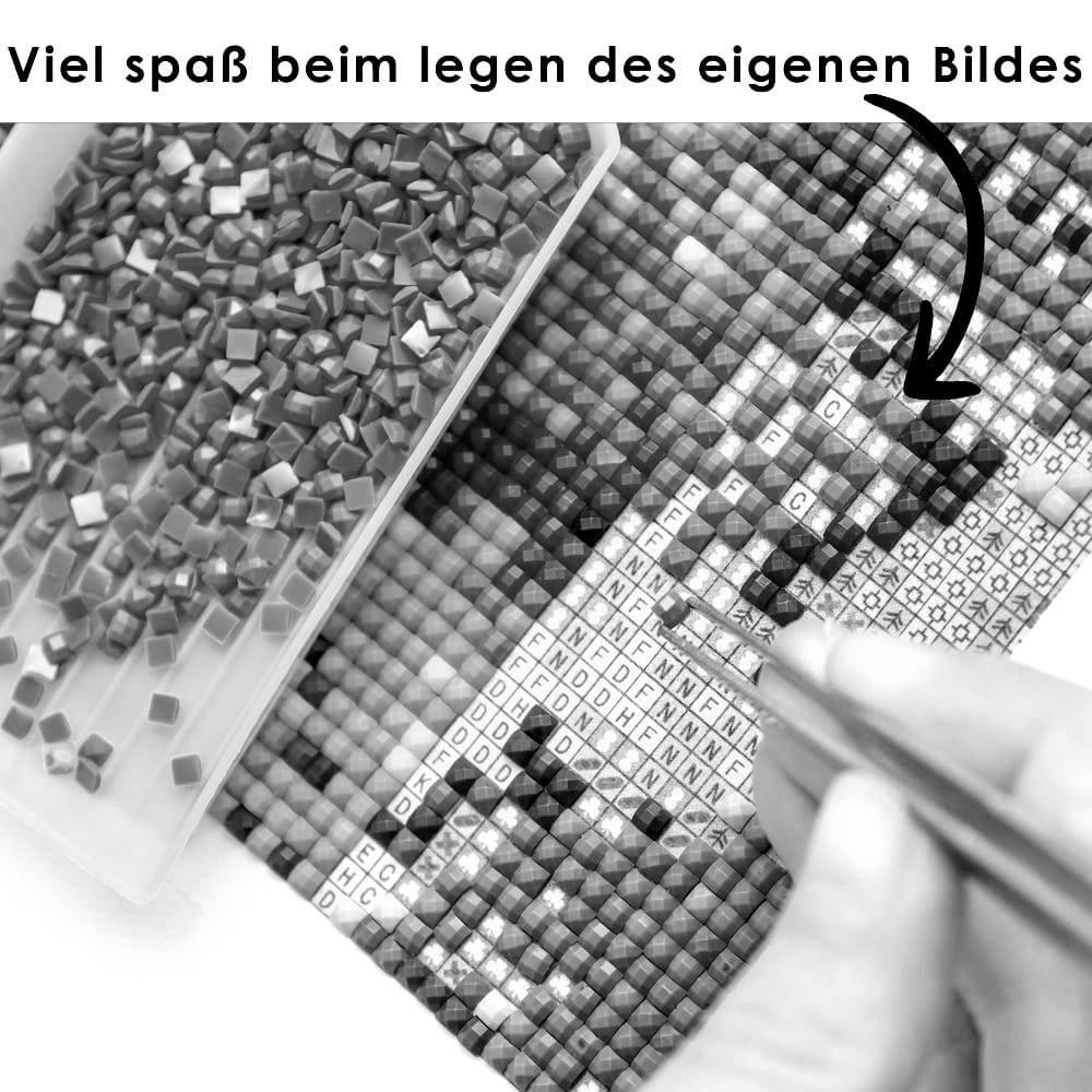 Dein Wunschmotiv - Zeichnung als Diamond Painting (eckige Steine, Schwarz/Weiß) von Spielzeughafen