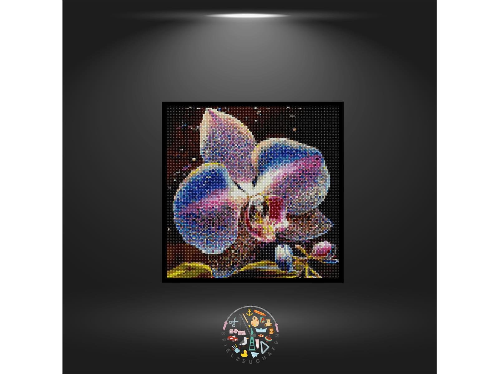 Little Orcid - Quadratisch mit AB von Spielzeughafen