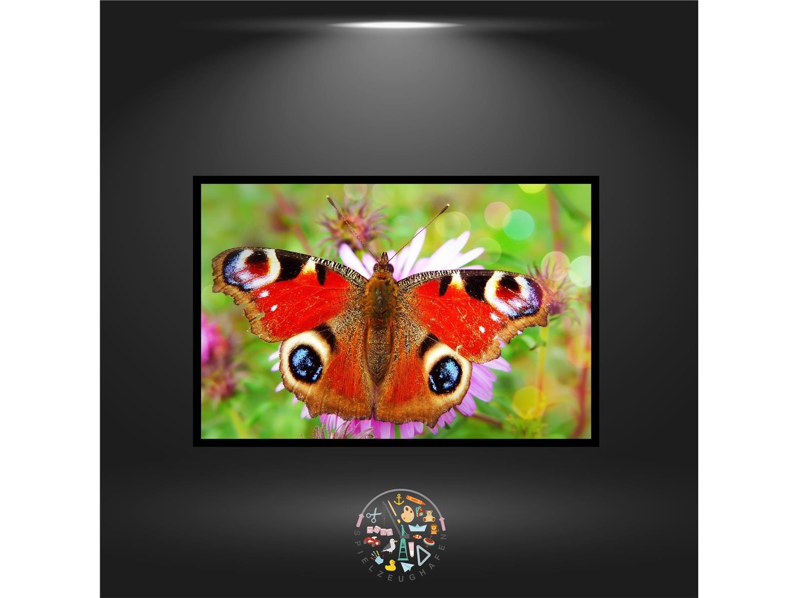 'Pfauenauge' - Quadratisch von Spielzeughafen