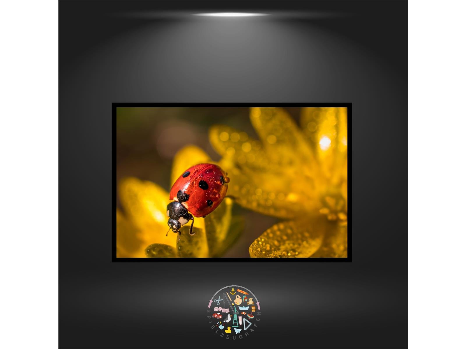 'Shining Ladybug' - Quadratisch von Spielzeughafen