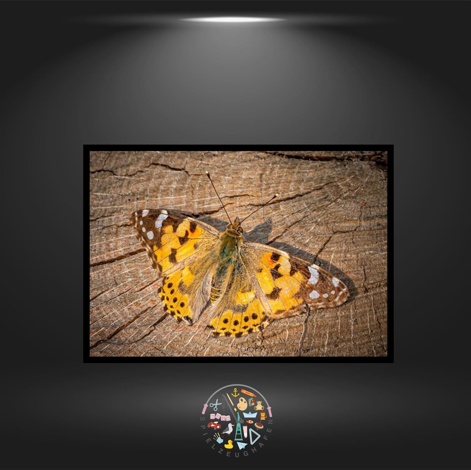 'Distelfalter' - Quadratisch (exklusiv) von Spielzeughafen