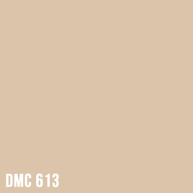 DMC 613 Drab Brown - Light - eckig Diamond Painting Steine 2,5mm von Spielzeughafen