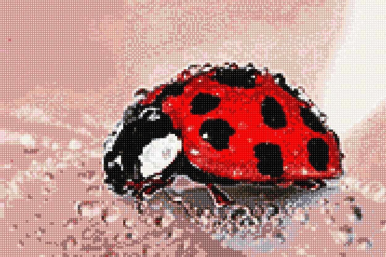 'Ladybug' - Quadratisch von Spielzeughafen