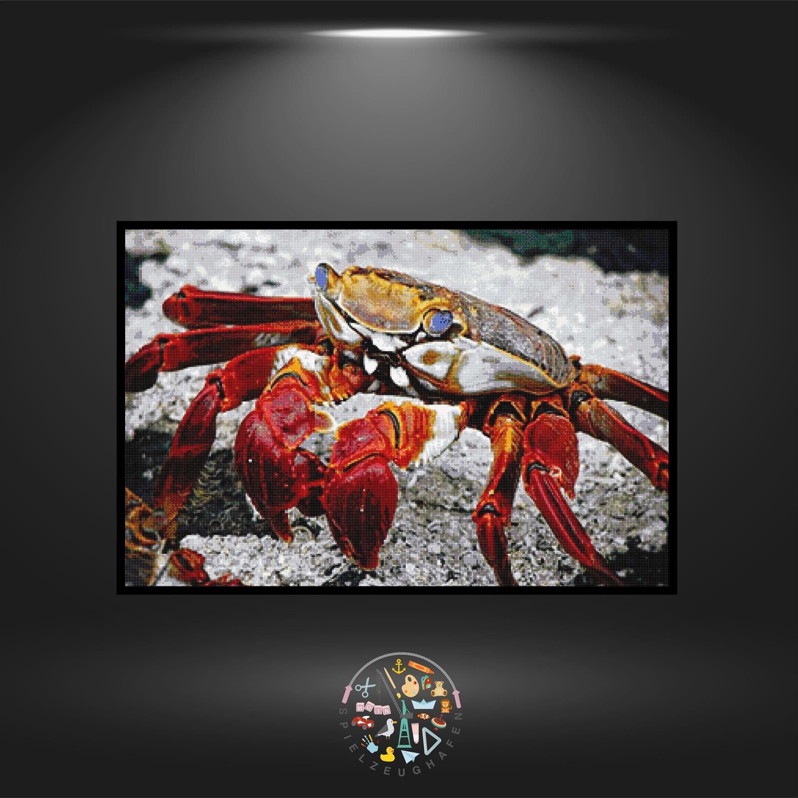 Krabbe Sebastian - Quadratisch von Spielzeughafen