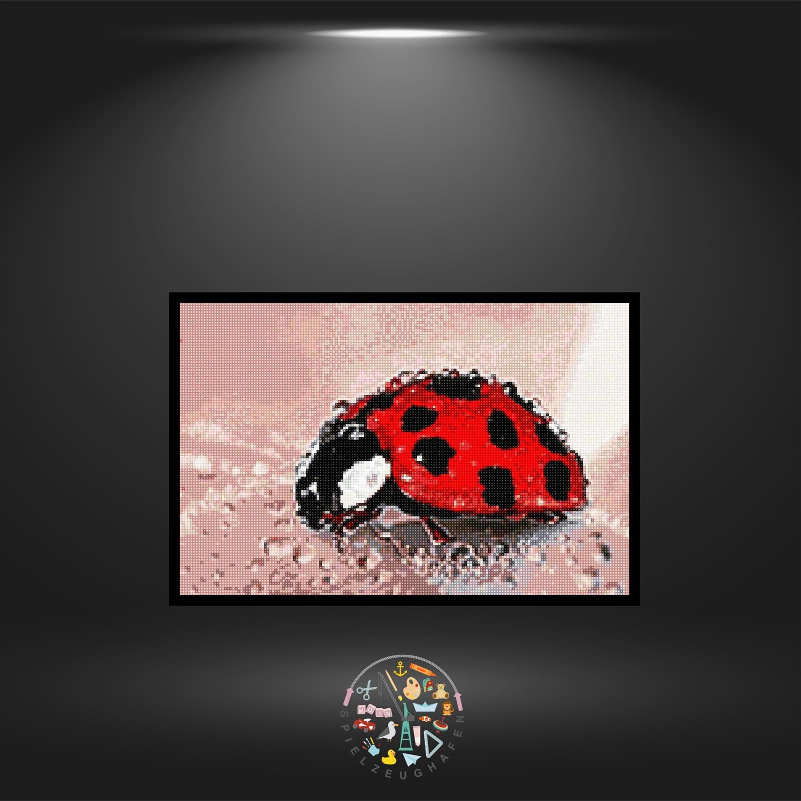 'Ladybug' - Quadratisch