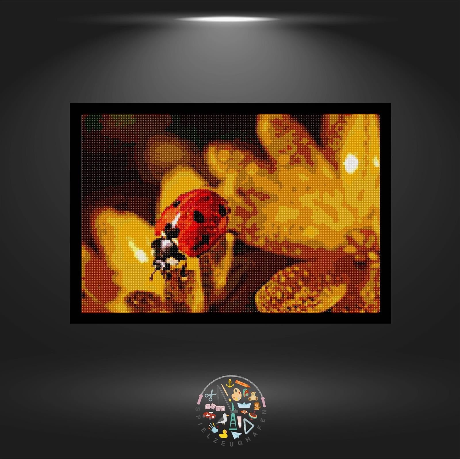 'Shining Ladybug' - Quadratisch von Spielzeughafen