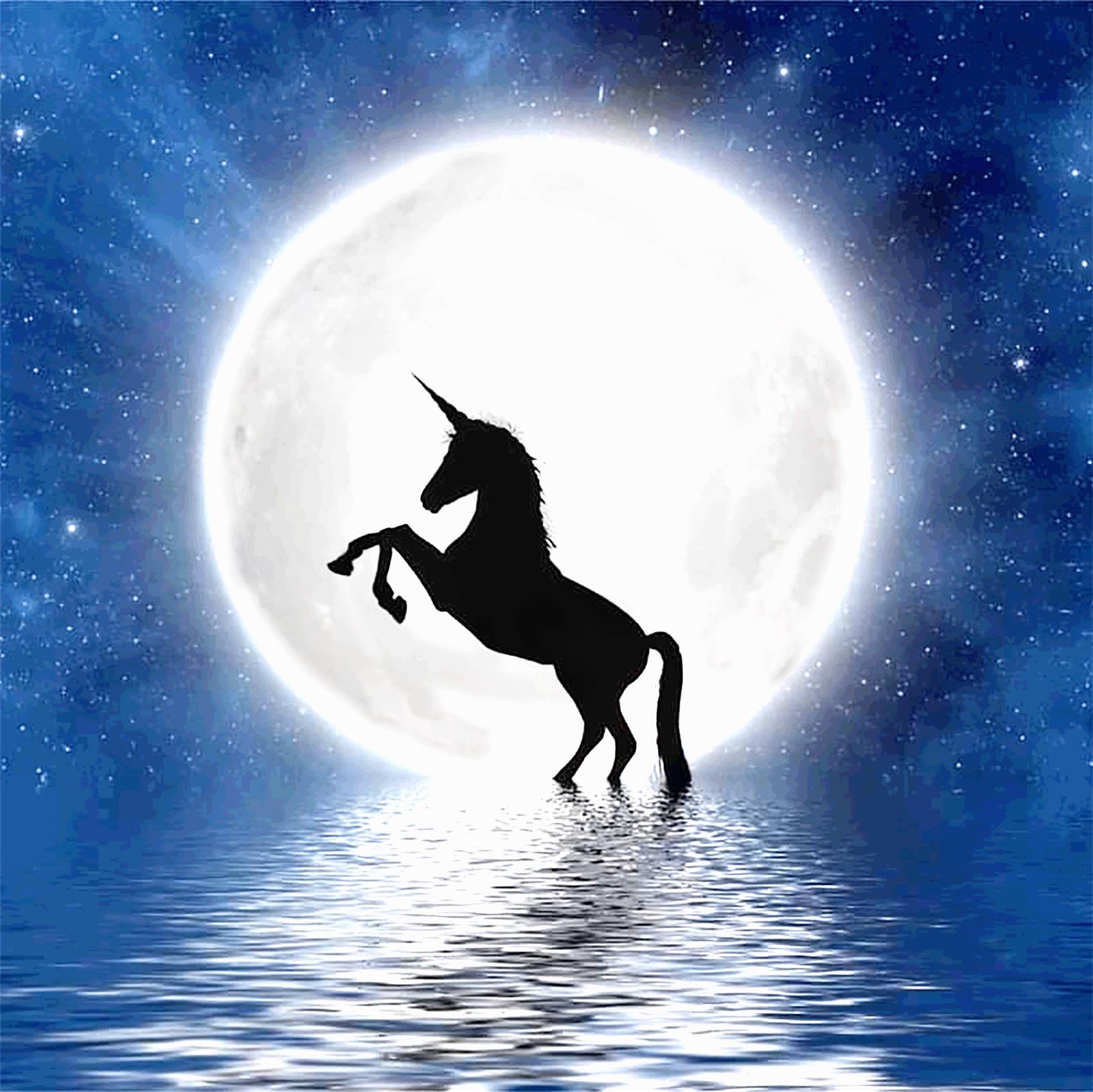 Unicorn and moon - Strass / Rhinestone von Spielzeughafen