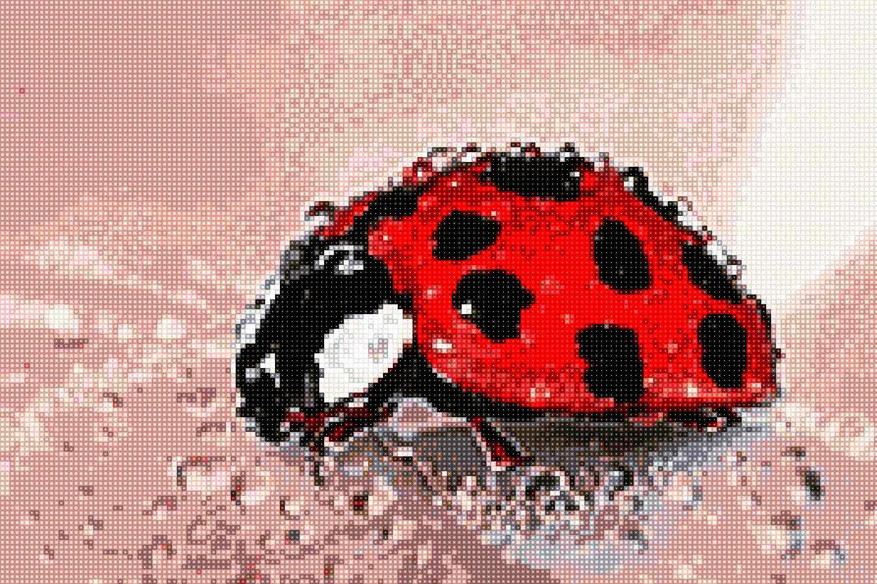 'Ladybug' - Quadratisch